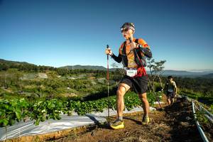 BIB: 9590
                            <button type="button" onclick="openModal(19120235)" class="btn btn-primary btn-sm float-right btn-popup" data-toggle="modal" data-target=".modal-high-quality">
                        <i class="fas fa-shopping-cart"></i> Add to Cart
                    </button>
                                            <button type="button" onclick="isThisMe(19120235, true)" class="btn btn-success btn-sm float-right btn-popup btn-isme hidden" data-toggle="tooltip" data-placement="bottom" title="นี่คือรูปของคุณใช่ไหม คลิกที่นี่เพื่อเอาเข้าอัลบั้ม">
                        <i class="fas fa-plus"></i> Add to album
                    </button>
                    <button type="button" onclick="isThisMe(19120235, false)" class="btn btn-warning btn-sm float-right btn-popup btn-isnotme hidden">
                        <i class="fas fa-ban"></i> Remove from album
                    </button>